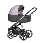 Картинка Коляска Expander Exeo (2 в 1, 02 purple)