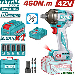 TIWLI42461 (с 1-им АКБ, кейс)