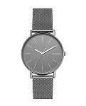 Картинка Наручные часы Skagen Signatur SKW6549