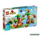 Картинка Конструктор Lego Duplo Дикие животные Южной Америки 10973