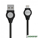Картинка Кабель Ritmix RCC-429 (черный)