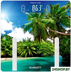 Картинка Напольные весы SCARLETT SC-BS33ED12