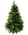 Картинка Ель Christmas 9150-3 1,8 м (1058890)