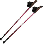 Картинка Палки для скандинавской ходьбы Tramp Fitness (TRR-011)