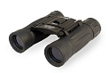 Бинокль Levenhuk Atom 10x25