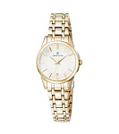 Картинка Наручные часы Daniel Klein Premium DK11949-3