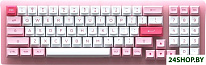 ACR 98 Mini Prunus Lannesiana (Akko CS Jelly White)