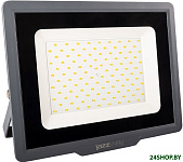 PFL-C3 100w 6500K