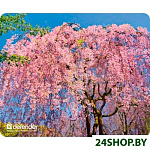 Коврик для мыши Defender Silk Pad Nature (50707)