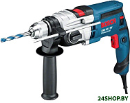 GSB 19-2 RE Professional (060117B500)