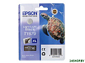 Картридж EPSON C13T15794010