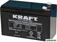 LP12-7 (12V/7Ah)