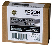 Картинка Картридж для принтера Epson C13T580900