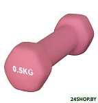 Картинка Гантели Atemi AD-01 0.5 кг