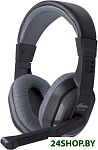 Картинка Наушники Ritmix RH-534M