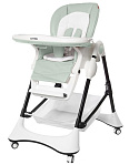 Картинка Стульчик для кормления Carrello Stella (aspen green)