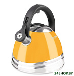 Картинка Чайник Rondell Sole RDS-908