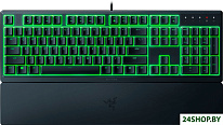 Ornata V3 X (нет кириллицы)