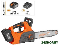 DACS 3021Li Set (с 2-мя АКБ)