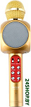 Картинка Микрофон Wster WS-1816 (золотистый)