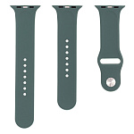 Картинка Ремешок Evolution AW44-S01 для Apple Watch 42/44 мм (pine needle green)