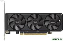 GeForce RTX 5060 LP BRK 8GB GDDR7 OC Edition RTX5060-O8G-LP-BRK