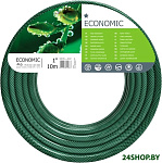 Economic 10-034 (1