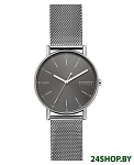 Картинка Наручные часы Skagen SKW6577