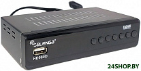 Картинка Приемник цифрового ТВ SELENGA HD 980D
