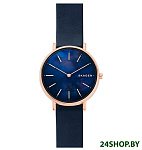 Картинка Наручные часы Skagen SKW2731