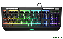 Картинка Клавиатура OKLICK 735GK