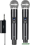 MIC001