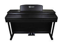 Картинка Цифровое пианино Solista DP801R