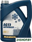 Antifreeze AG13 5л