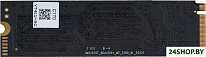 Mega P3 1TB DGSM3001TP33T