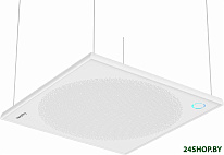 A50