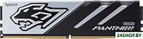 Panther 32ГБ DDR5 6000 МГц AH5U32G60C6227BAA-1