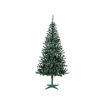 Картинка Ель Royal Christmas Kansas 1.8 м