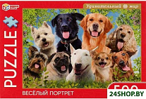 Веселый портрет 4680107925626 (500 эл)