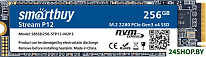 Stream P12 256GB SBSSD256-STP12-M2P3