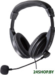 Картинка Наушники Ritmix RH-524M