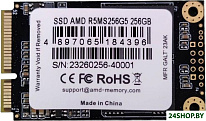 Radeon R5 256GB R5MS256G5