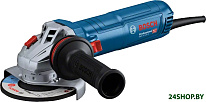 GWS 12-125 S Professional 06013A6020
