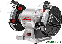 CT13546