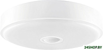 Crystal Sensor Ceiling Light mini XD091W0CN