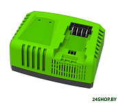Картинка Быстрое зарядное устройство Greenworks G40UC6 40V (арт. 2945107)