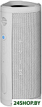 Картинка Беспроводная колонка TFN Space (серый)